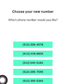 choose your new number