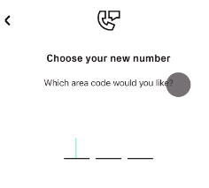 input the area code