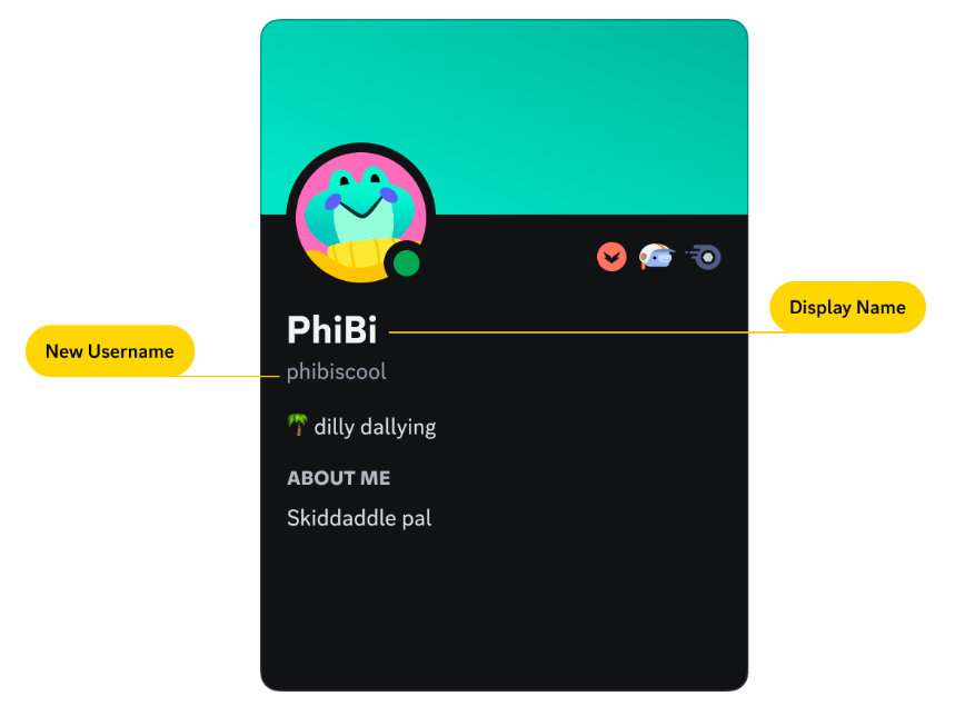 nombre para mostrar del nombre de usuario de Discord