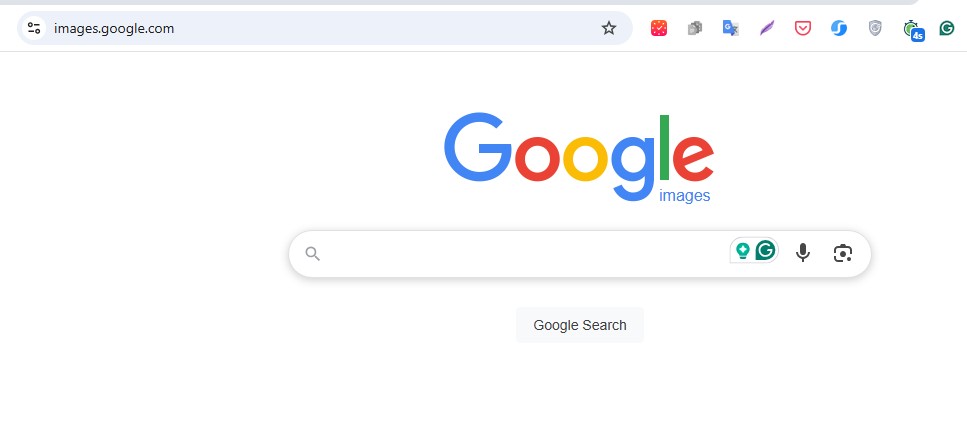 google görsel arama
