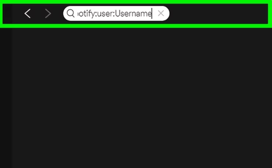 lookup username on spotify