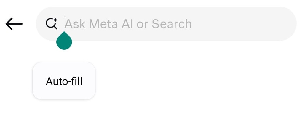 search a person on instagram