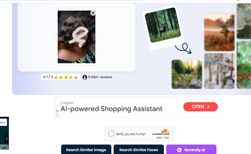 search similar faces using duplichecker