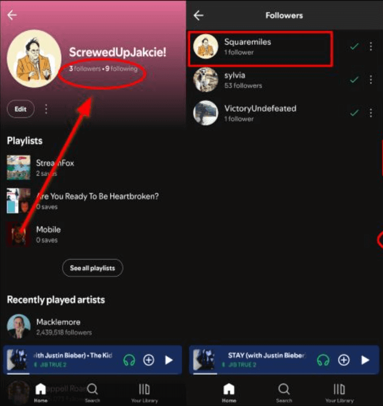 spotify public playlists